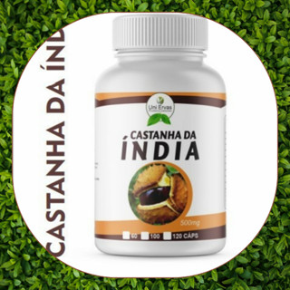 Encapsulado Castanha Indiana Natural Cápsulas de 500 mg V3