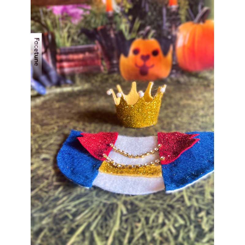 Conjunto Príncipe para pet - Bandana + coroa  cachorro, gato, em Oferta na Shopee