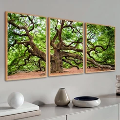 Kit 3 Quadros Decorativos Para Sala Moldura Arvore Da VIda Paisagem Natureza