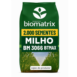 Semente de milho 3066 RESISTENTE - Milho verde e silagem - 2.000 sementes em Oferta na Shopee