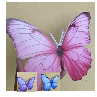 borboletas rosa,  lilás e azul grande jardim das borboletas jardim encandado