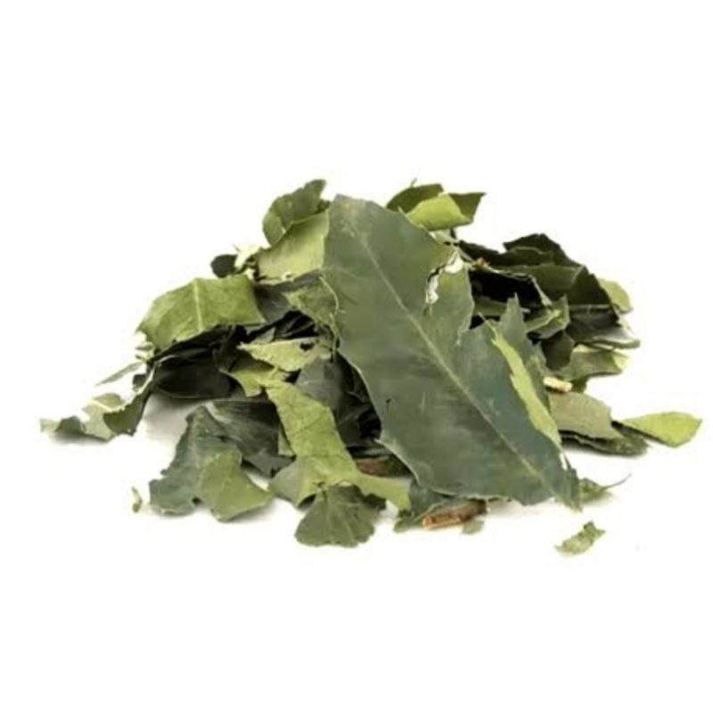 Chá de Espinheira Santa Desidratado | Folhas Secas Selecionadas | 500g