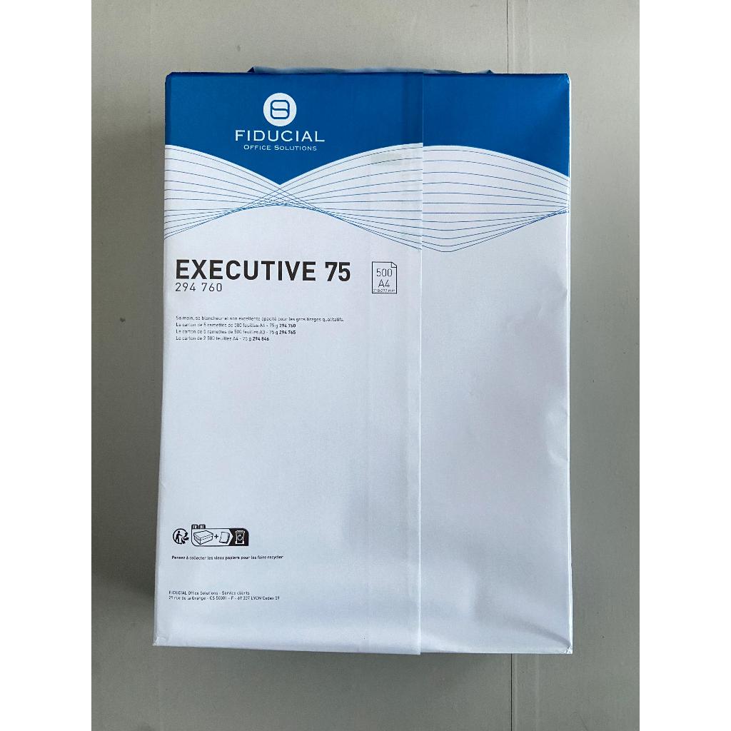 Papel Sulfite EXECUTIVE A4 500 Folhas de 75g Cor Branco 210x297