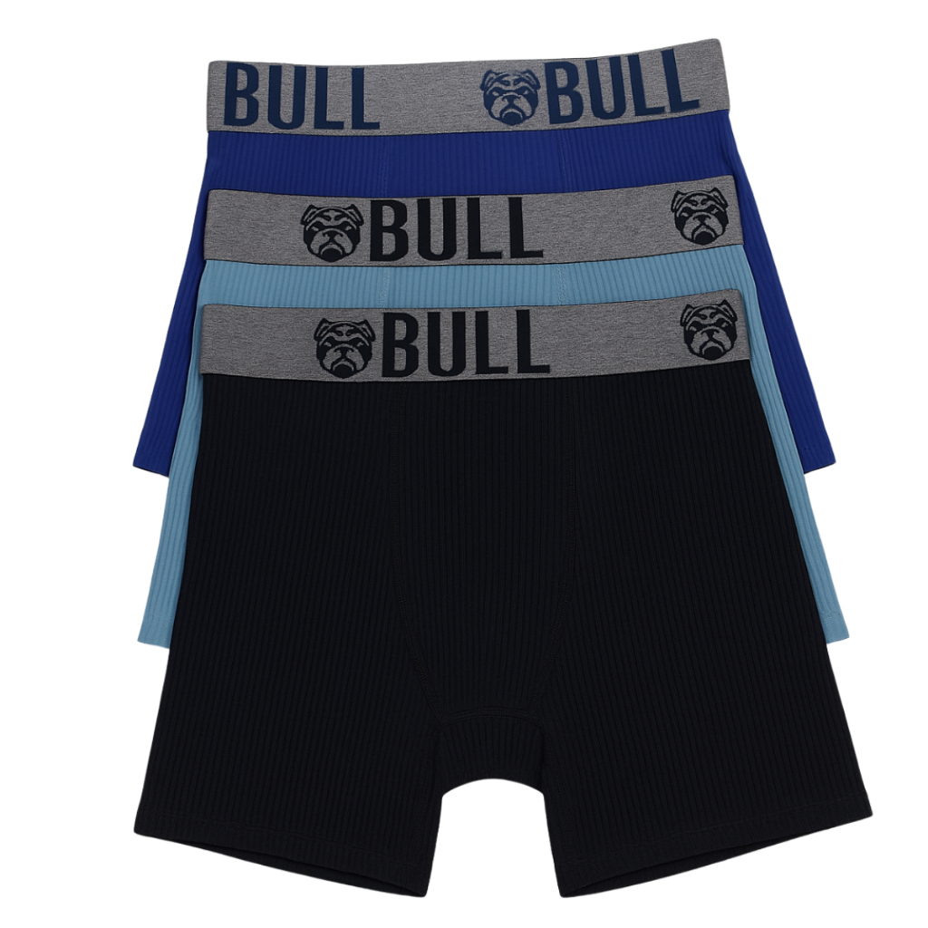 Kit 3/6/9 Cuecas Boxer Lisas Com Forro Tecido Canelado e Elástico Microfibra