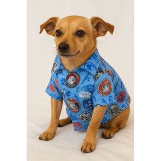 Camisa Pet Personagem (Mickey) em Oferta na Shopee