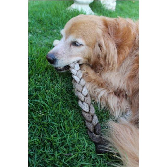 Trança de Couro Bovino para Cachorro Natuka - Mordedor Natural Pet em Oferta na Shopee