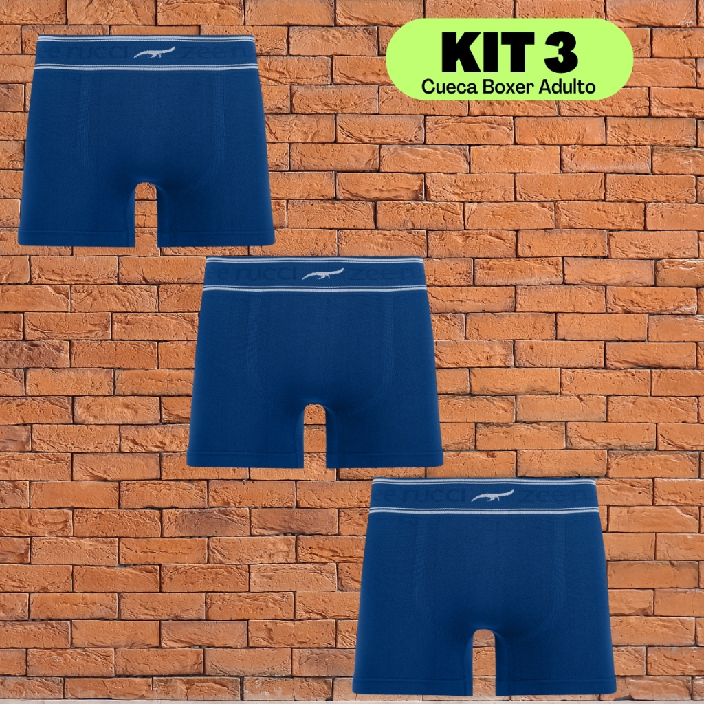 Kit Com Três Cuecas Sem Costuras Boxer Microfibra Premium Cueca Box Original Zee Rucci