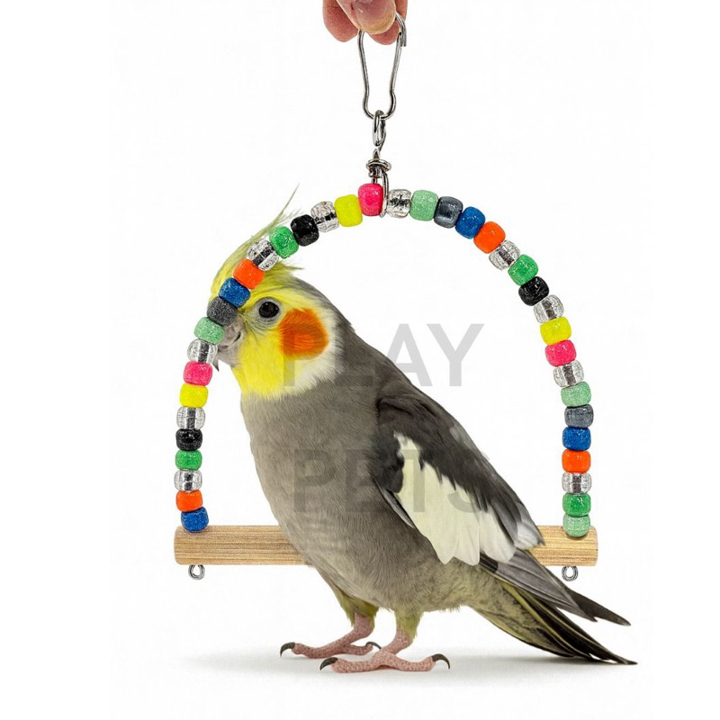 Balanço Missanga Brinquedo para Calopsita, Periquitos e outras Aves em Oferta na Shopee
