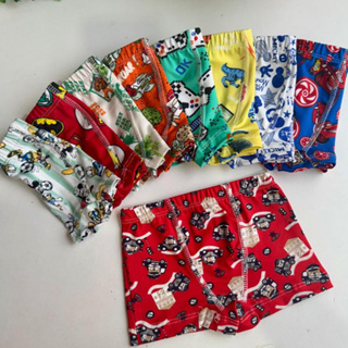 Kit 10 Cuecas Infantil Forro Algodão Confortavel Cueca Estampadas em Oferta na Shopee