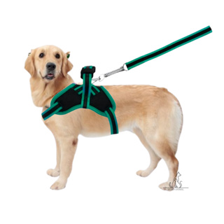 Peitoral para cachorro de porte pequeno médio e grande porte muito barato varias cores tamanhos pet coleira em Oferta na Shopee