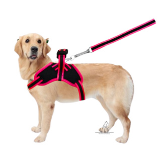 Coleira para Cachorro e Guia Peitoral Pastor Alemão Labrador Pitbull Golden American Pug Poodle peitoral para cachorro em Oferta na Shopee