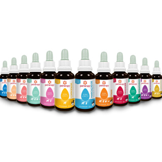 Florais de Bach Petherapy – Equilíbrio Emocional para Seu Pet em Oferta na Shopee