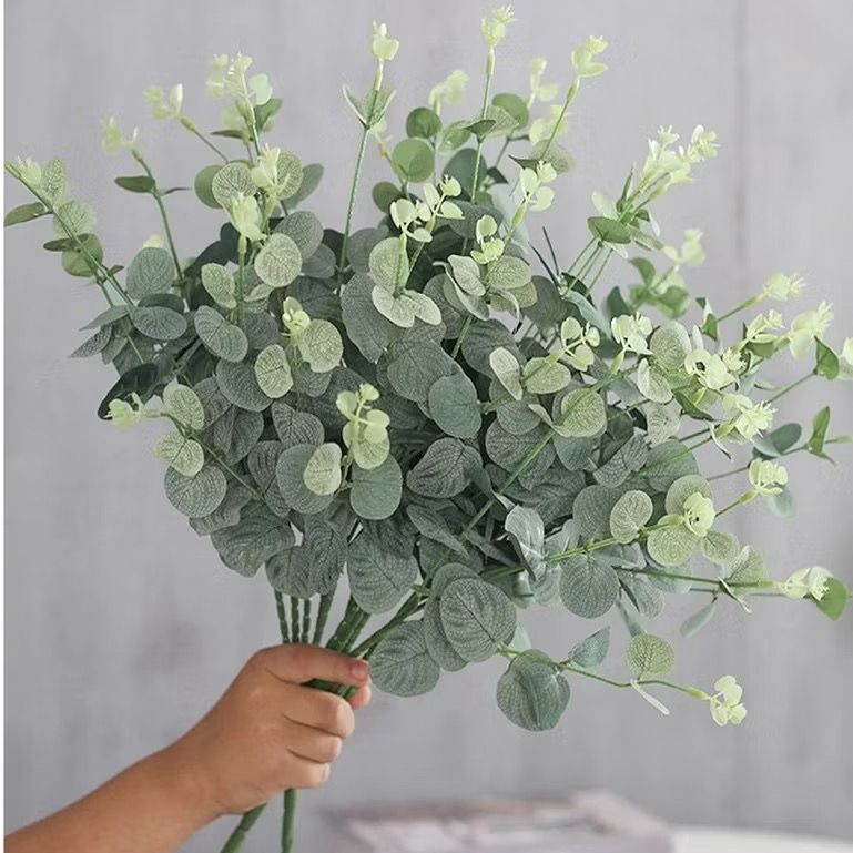 Buquê de Dinheiro: Onde Comprar | BuscaProdutos