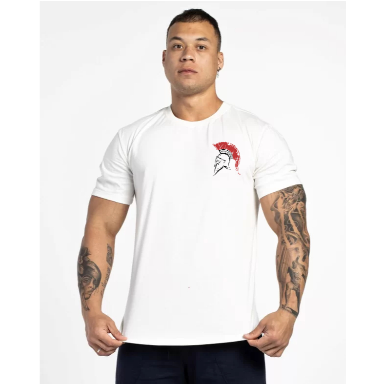 Camiseta Premium Oversized Spartano Guerreiro Para Treino Academia Maromba Confortavel Unissex