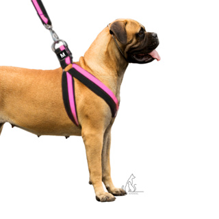 Coleira com Regulagem e Guia Peitoral Cachorro Pequeno Médio e Grande Pastor alemão Husky American em Oferta na Shopee