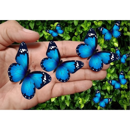 Bolo com Topo de Borboleta: Onde Comprar | BuscaProdutos