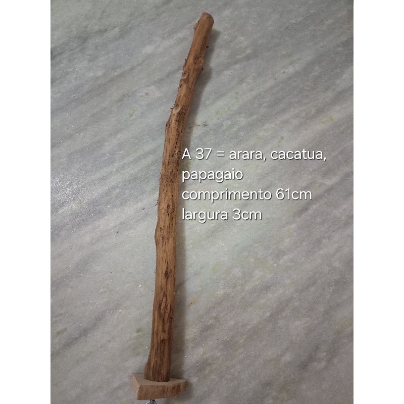 poleiro arara, cacatua, grande Alexandre - poleiro aves de rapina - tronco para cobra e lagarto A37