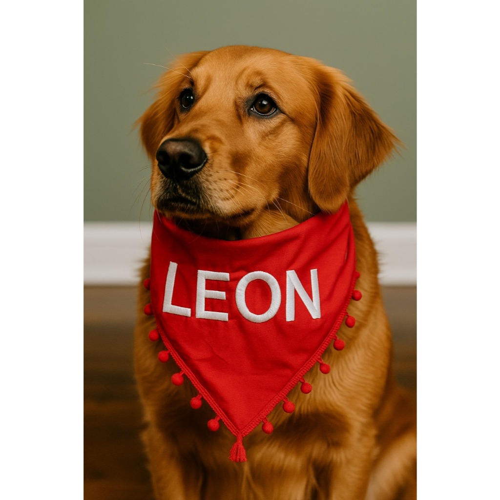 bandana pet personalizada com o nome do pet bordado + pompom para pet shop, banho e tosa, cachorro em Oferta na Shopee