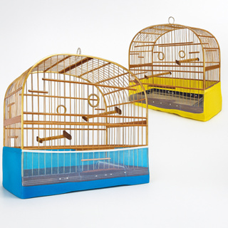 Capa de Gaiola em tnt com tela frontal – 6 unidades (verde, amarela e azul) em Oferta na Shopee