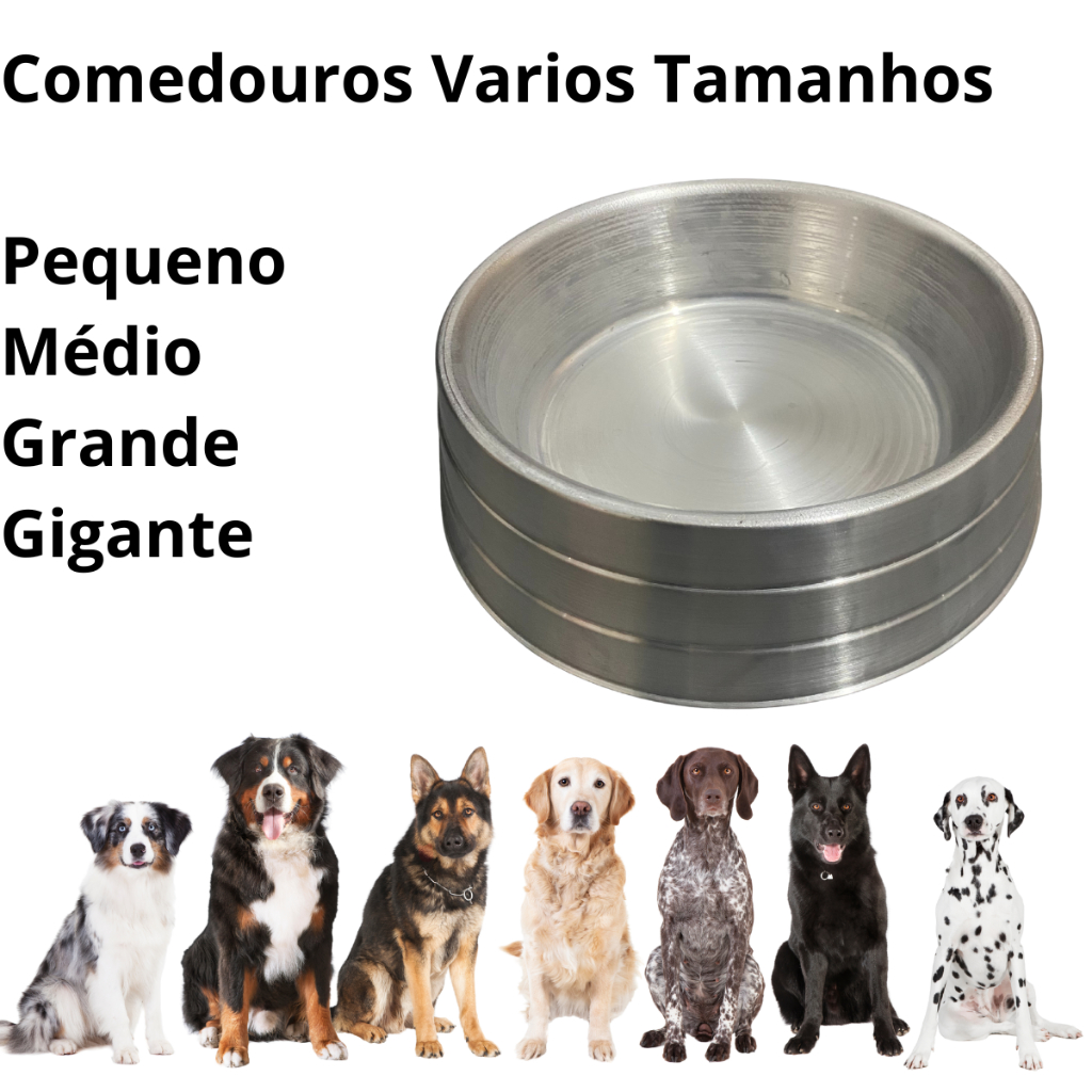 Pote Grande para Ração: Onde Comprar | BuscaProdutos