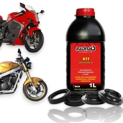 Retentor Bengala + Guarda Pó + Óleo Atf Comet250 Gt Gt250 R