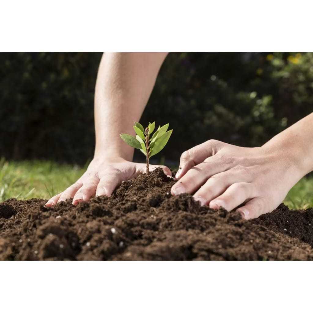 Terra Vegetal 5kg – Substrato Natural para Plantas, Vasos e Jardins