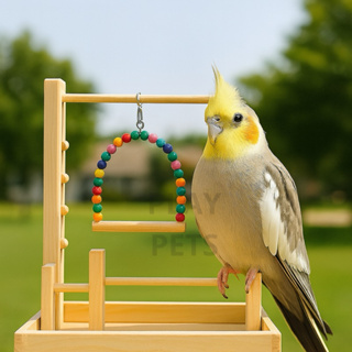 Kit Parquinho Playground G, para Calopsita em Oferta na Shopee