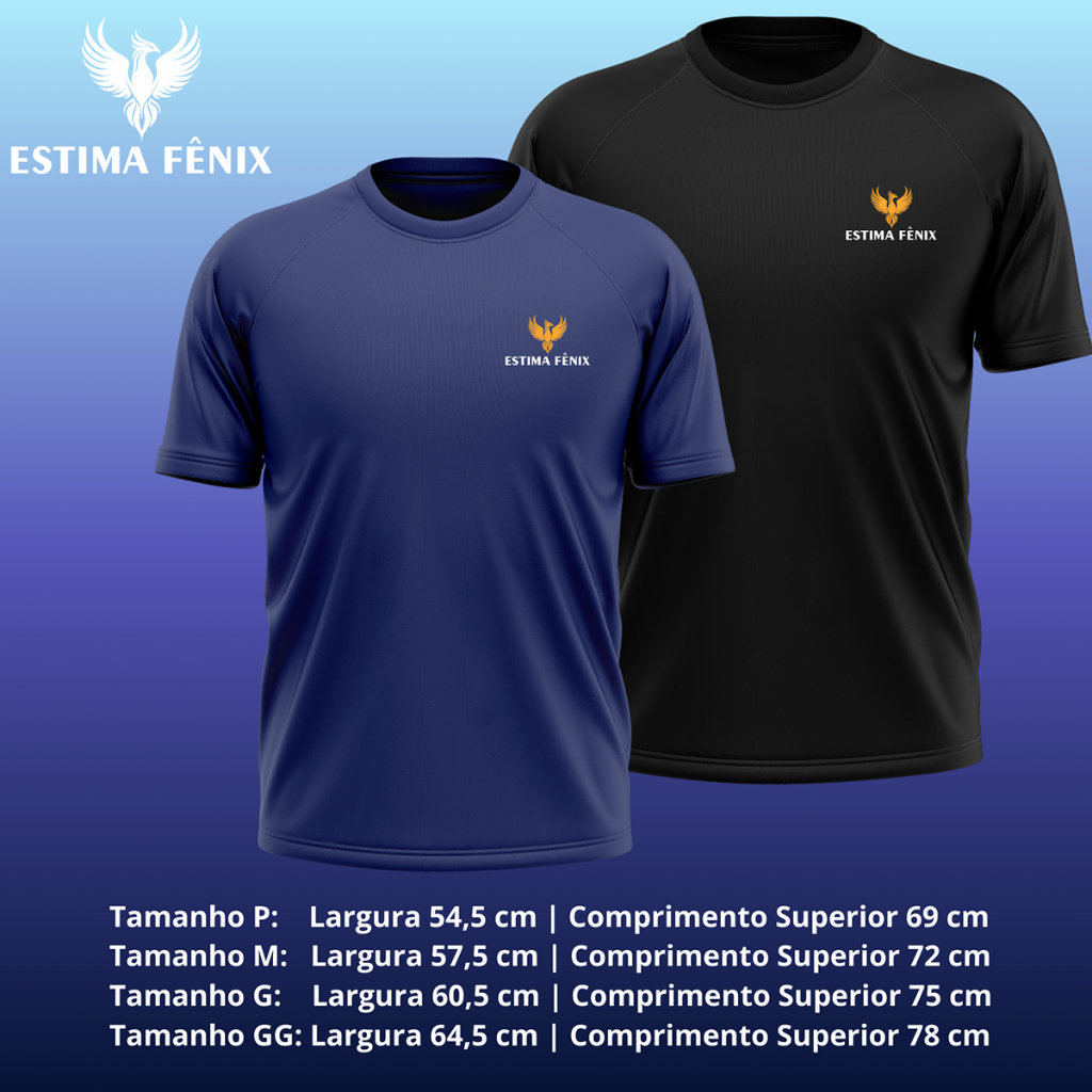 Camiseta Masculina Dry Proteção Solar 2 unidades UV50 Térmica Anti Suor Academia Esporte Basica Lisa Moda Fenix!