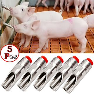 Kit 5 Bebedouro De Porco Automático Chupeta Suíno Bico Aço Inoxidável em Oferta na Shopee