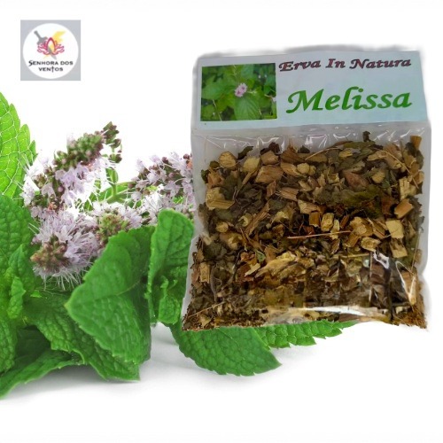 Melissa - Erva Seca/ Erva in Natura