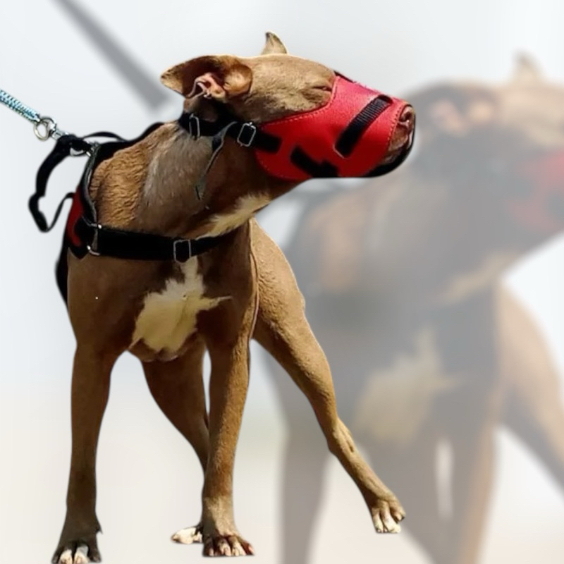 Focinheira pra Cachorro Reforçada Pit Bull Pastor Alemão Doberman super oferta