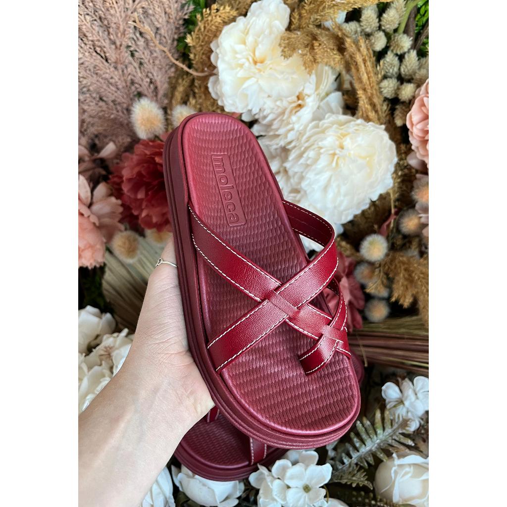 Nova Moleca Turim Entrelaçada 5556.101 Original com Caixa Estilosa Casual Moleca 2026