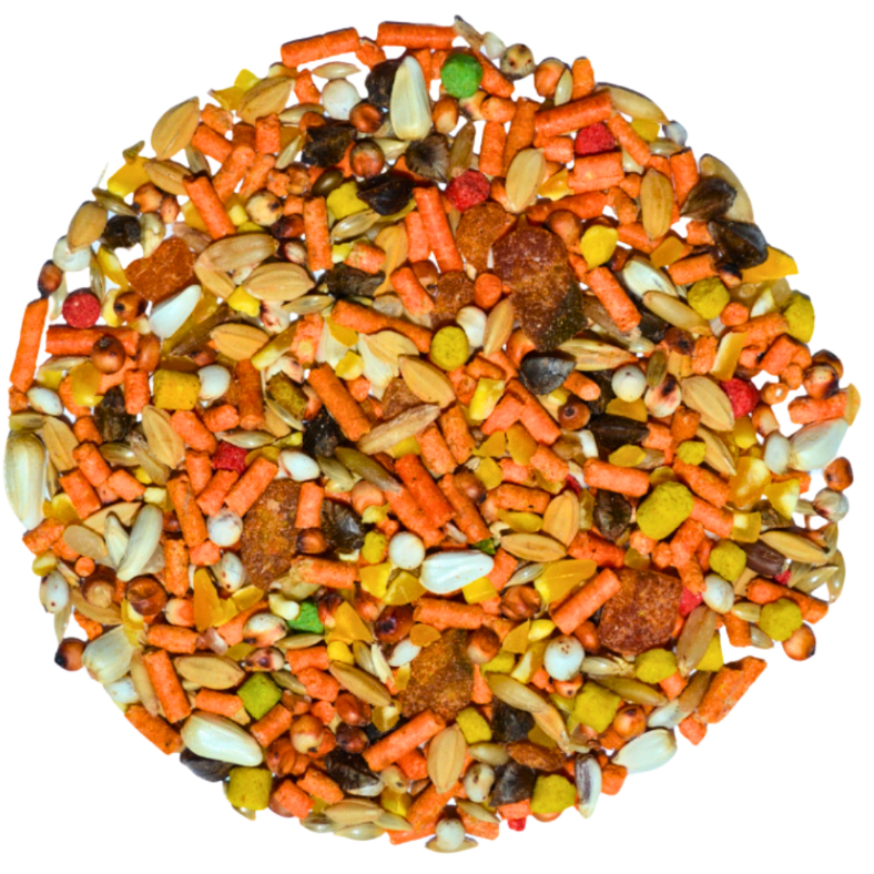 Fábrica de Ração para Passaros: Onde Comprar | BuscaProdutos