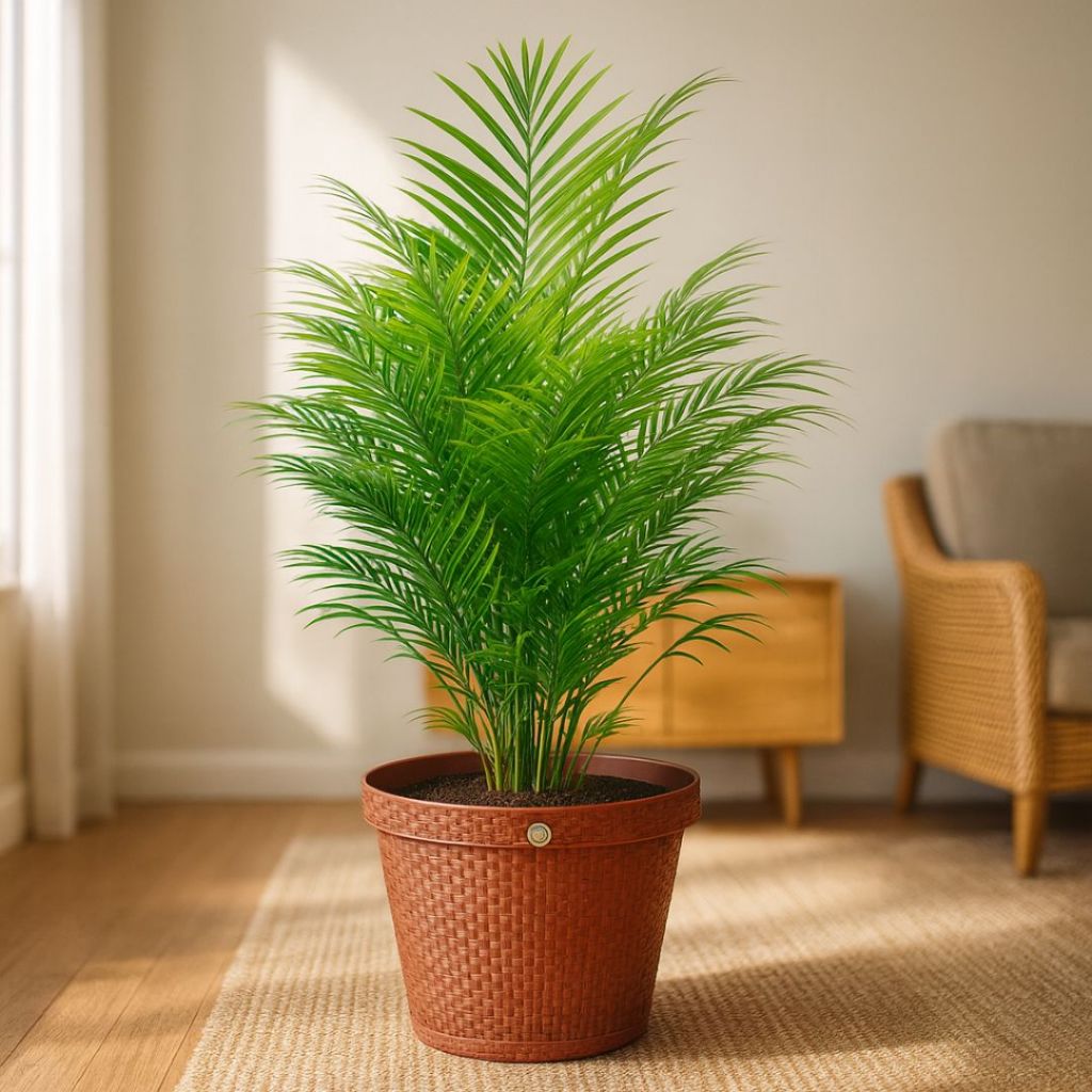 Kit 2 Vasos Para Plantas Flores Hortaliças 10 Litros Estilo Rattan Resistente — imagem 2 de 2