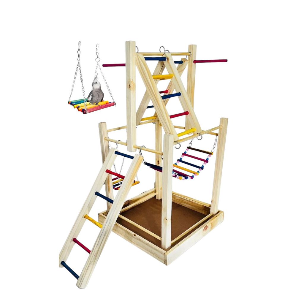 Playground 2 Andar Para Calopsitas Pássaros Papagaio Com Balanço Escadas Pontes Coloridas