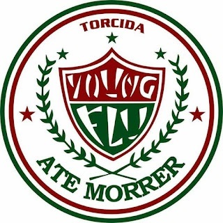 12 Adesivo Personalizado Torcida Organizada do Fluminense Young Flu  a prova d'gua