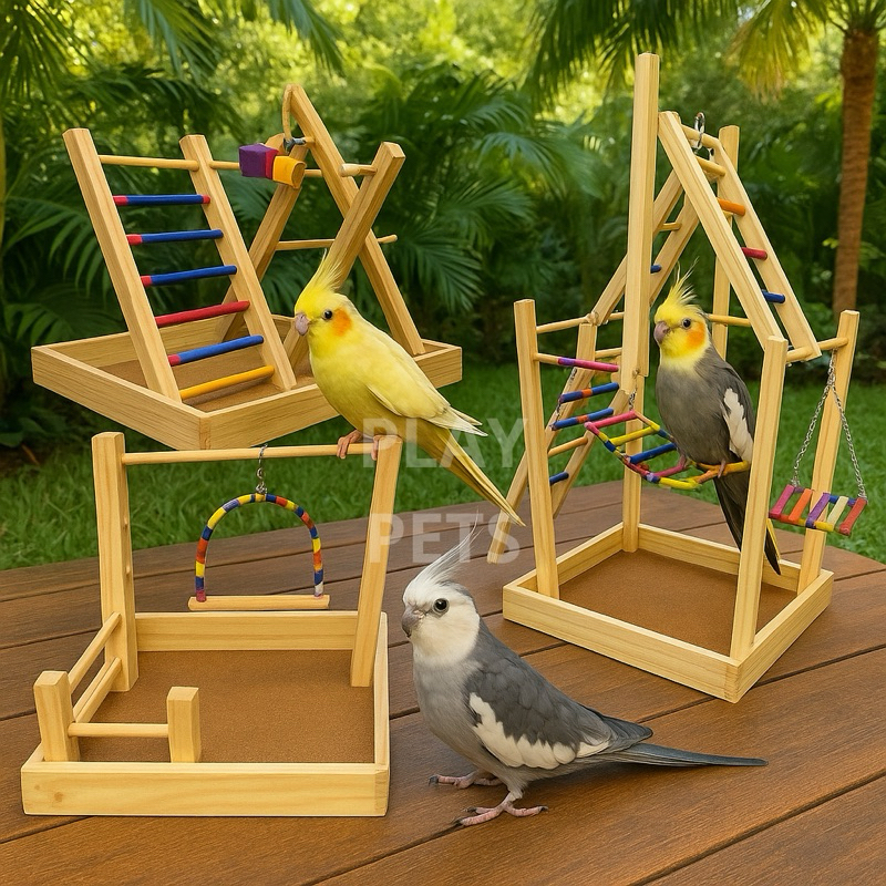 Kit Playground ( 3 UNIDADES), para Calopsita, Aves em Oferta na Shopee