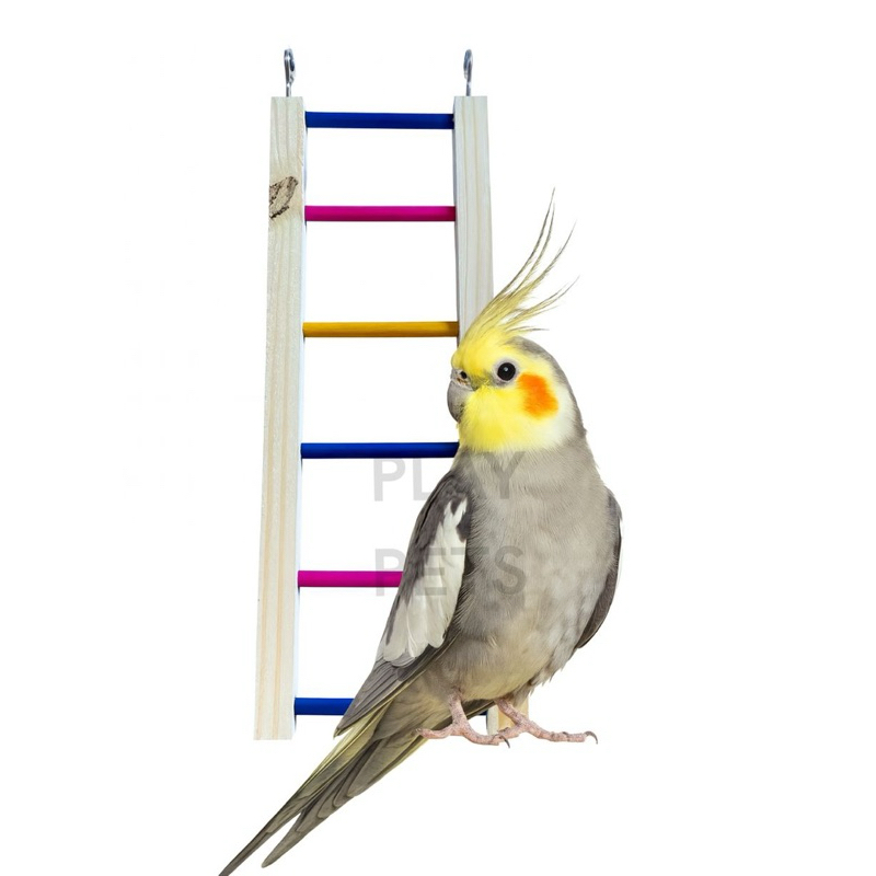 Escada de Madeira Pinus 40cm para Aves, com Gancho em Oferta na Shopee