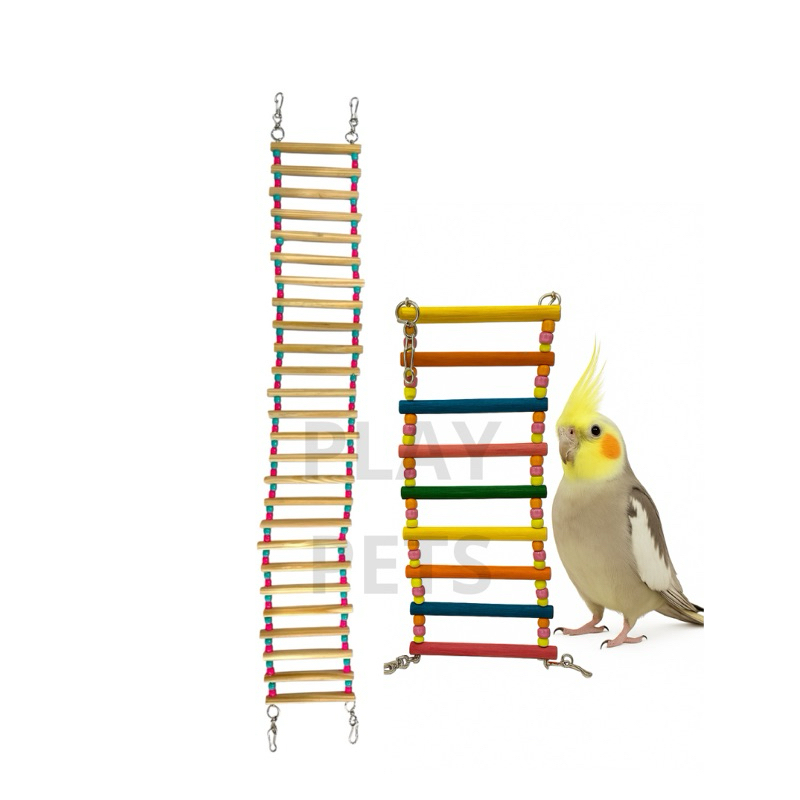 Kit Pontes Escada (70cm + 30cm) para Aves, Calopsita em Oferta na Shopee