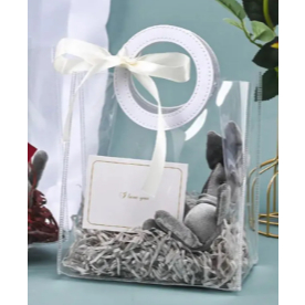 Bolsa Sacola Transparente Para Lembrancinha, Praia, Piscina E Presente em Oferta na Shopee