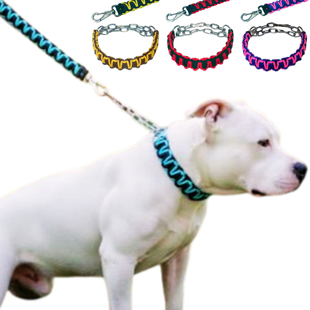 Guia Passeio Pitbull: Onde Comprar | BuscaProdutos