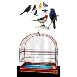 Gaiola Luxo Abaulada N5 Malha fina Com coxo p/ curió bicudo azulão canário coleiro etc.