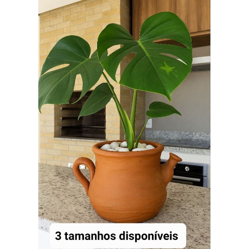 Bule de Barro: Guia Completo e Onde Comprar | BuscaProdutos