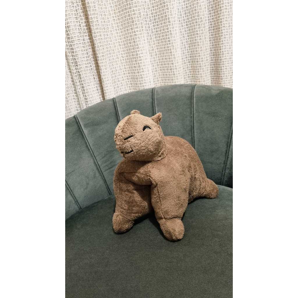 ALMOFADA CAPIVARA QUE VIRA TRAVESSEIRO em Oferta na Shopee