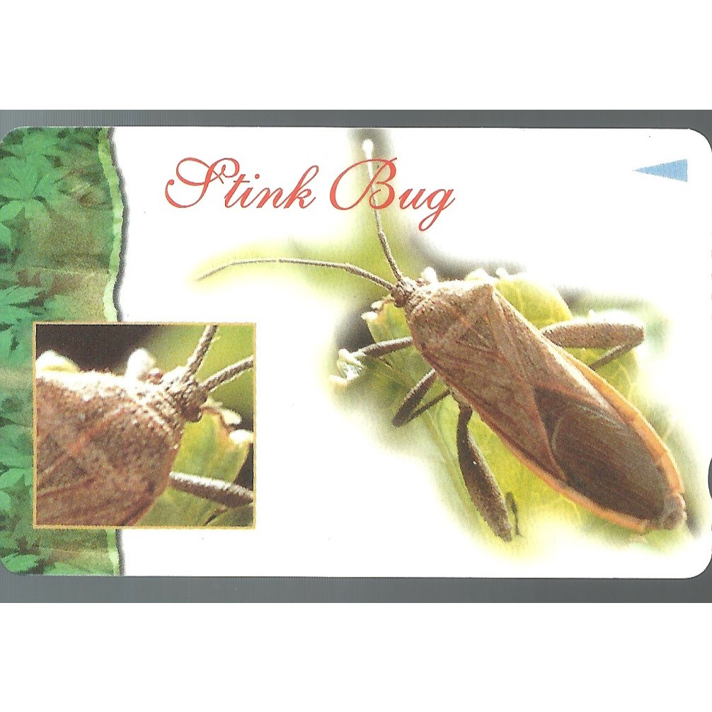 Cartão telefonico de SINGAPURA  ** STINK BUG **   Telecartofilia internacional de Singapura