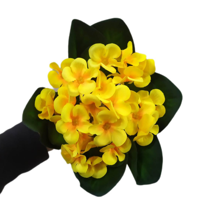 Buque Violeta: Guia Completo e Onde Comprar | BuscaProdutos