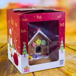 10 CAIXA NATAL PANETONE 250G 10X10X12 5625 (NATAL 2025 IDEIA) (CHOCO)