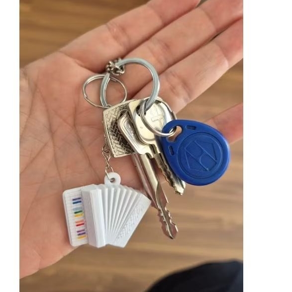 Chaveiro forró nordeste Sanfona plástico 3D