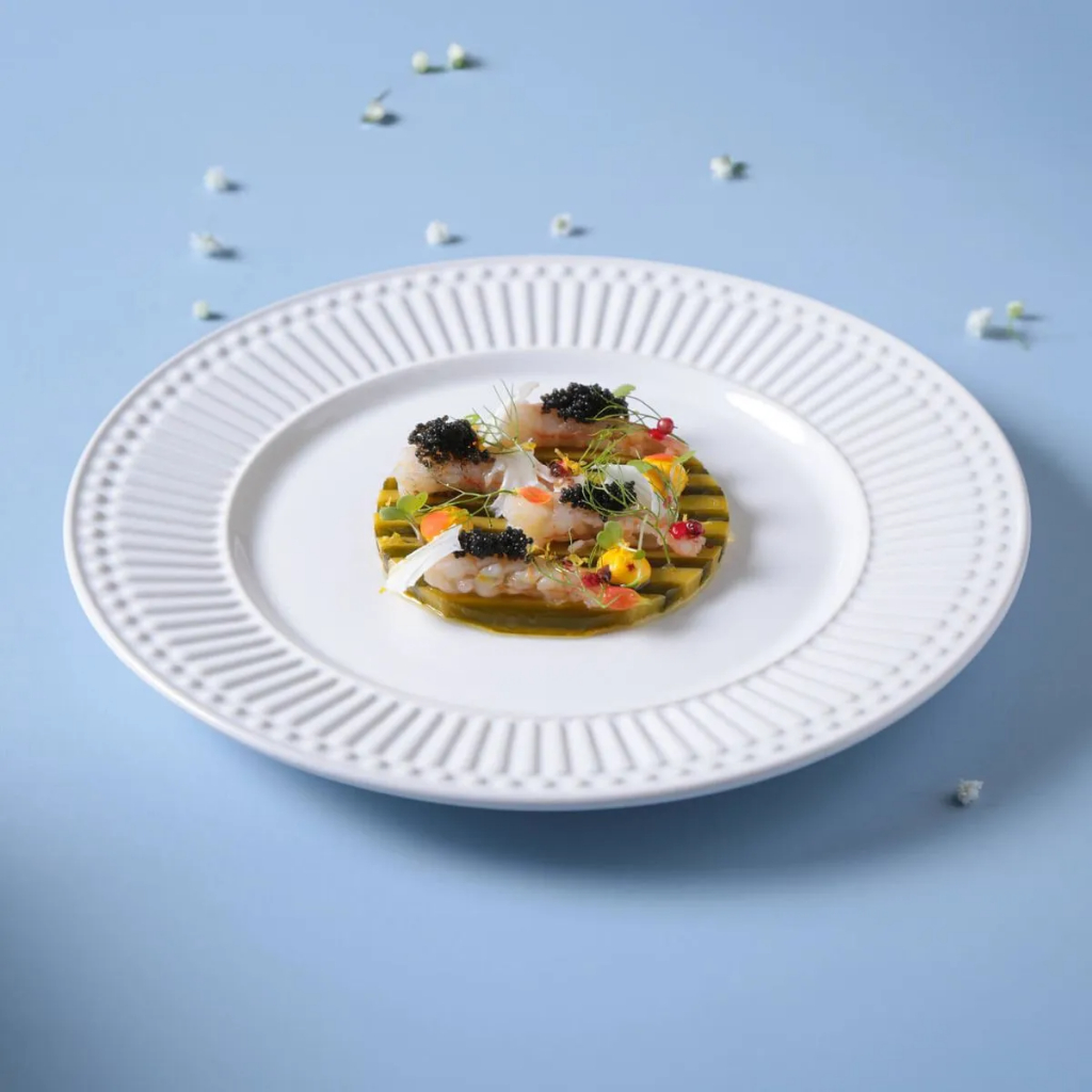 Prato Raso Porto Brasil: Onde Comprar | BuscaProdutos