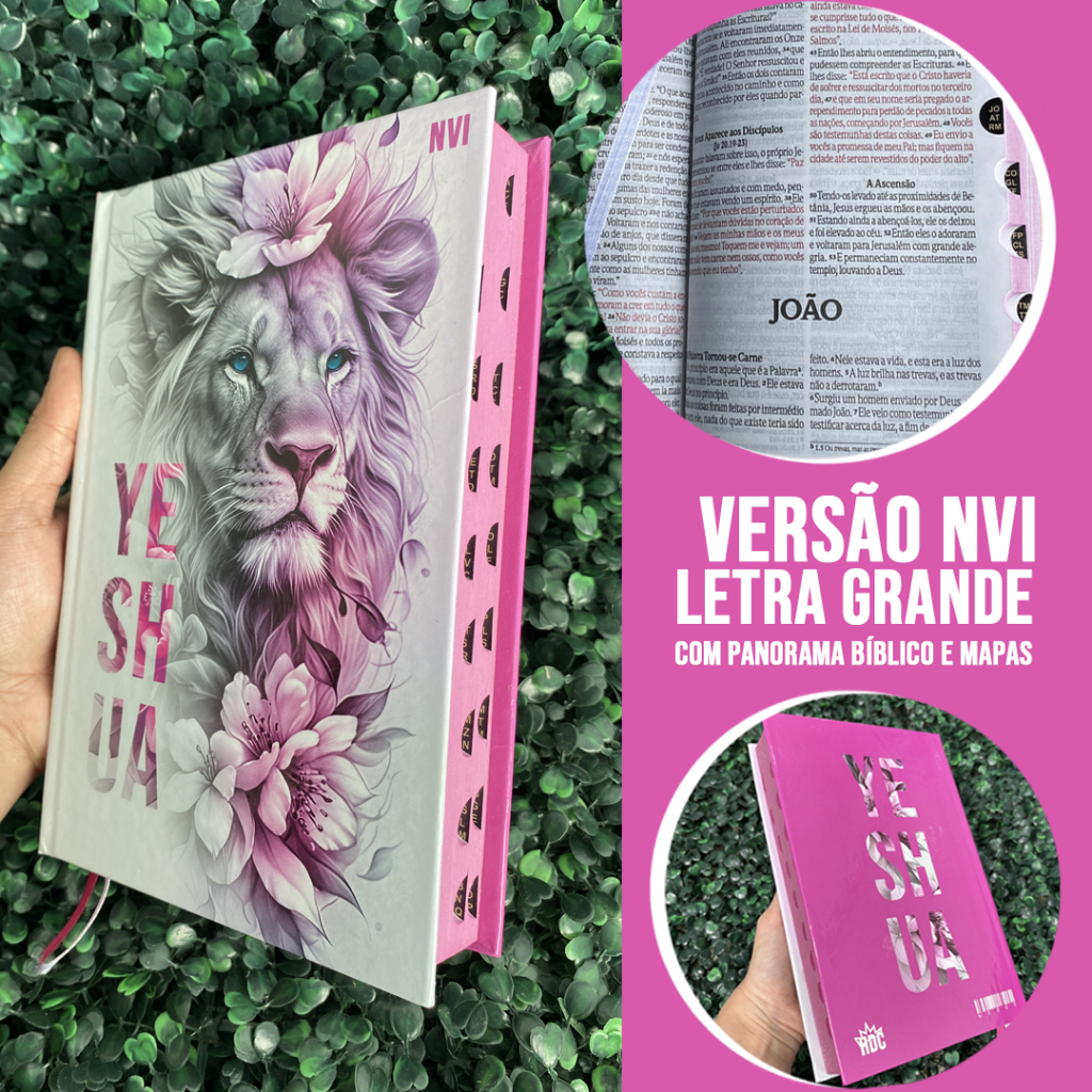 Bíblia Nvi Feminina Letra Grande: Onde Comprar | BuscaProdutos